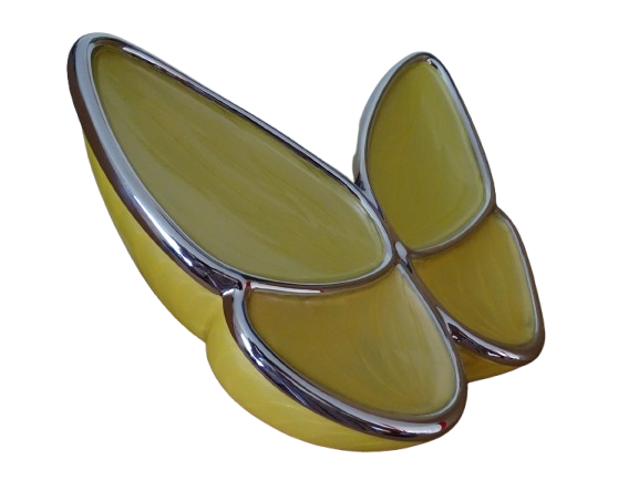 Wings of Hope